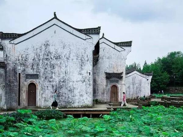 澍德堂民宿中式裝修案例賞析中式設計效果圖